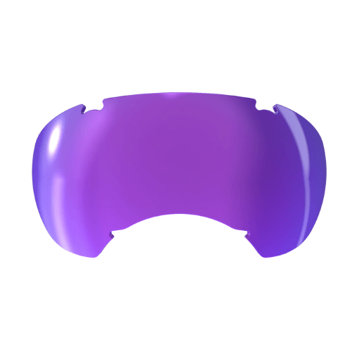 Rex Specs V2 Replacement Lenses - Slickers ◊ Doghouse