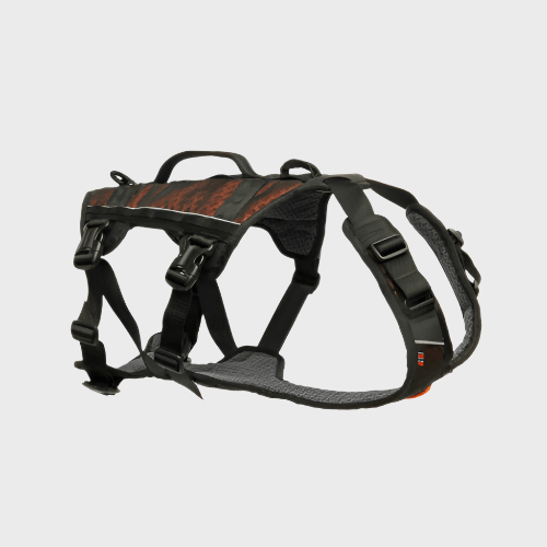 Rock Harness Long - Slickers ◊ Doghouse