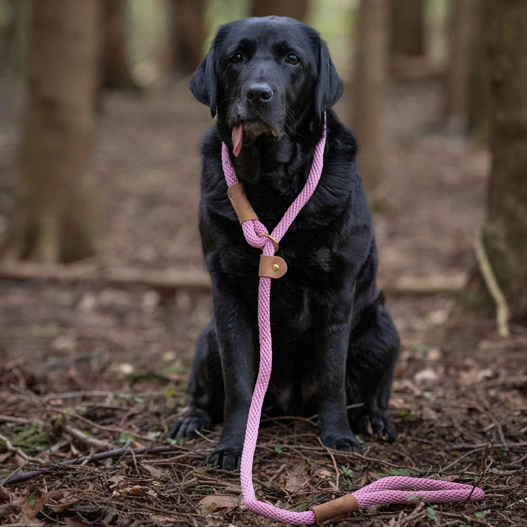 Ruff and Tumble Dog Lead - Slickers ‚óä Doghouse