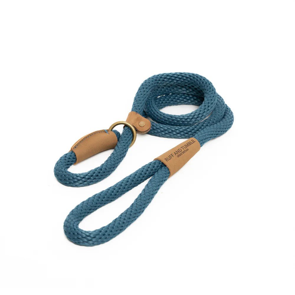 Ruff and Tumble Slip Dog Lead - Slickers ◊ Doghouse