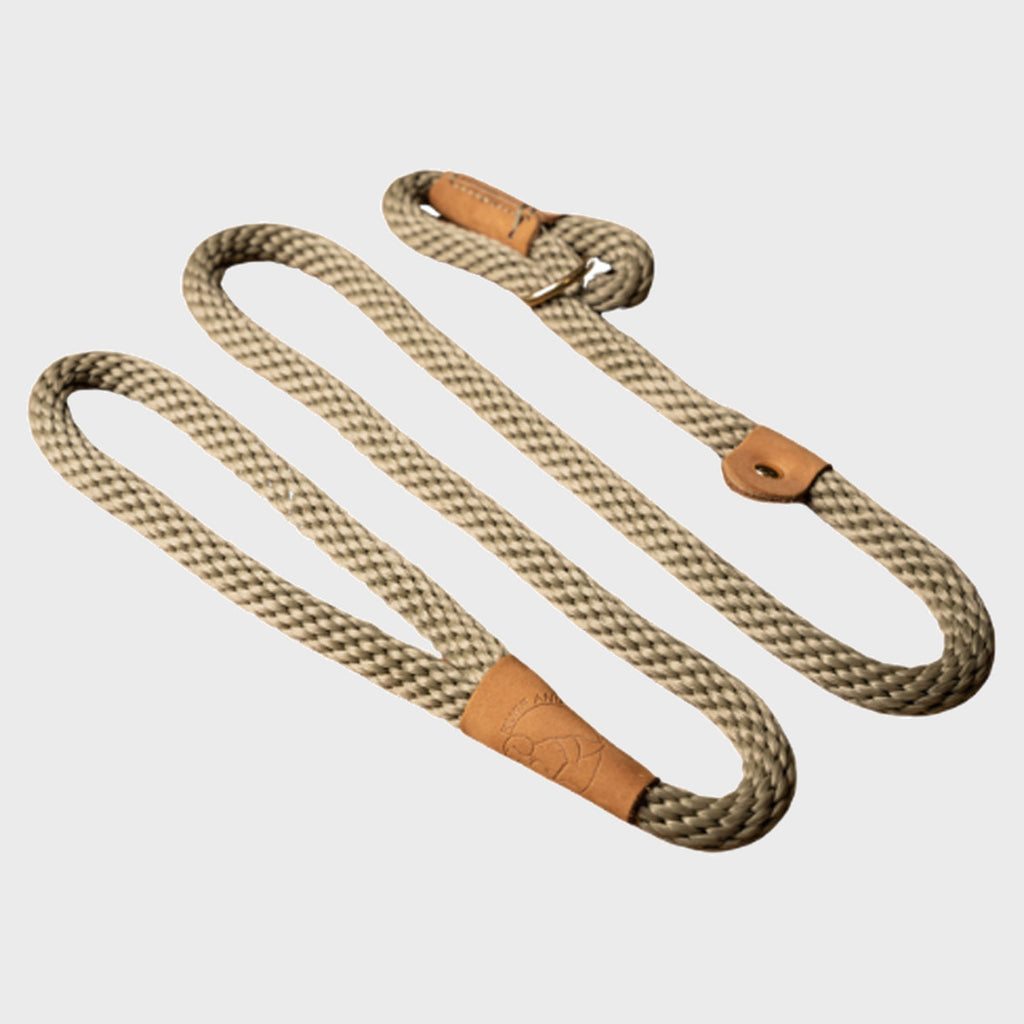 Ruff and Tumble Slip Dog Lead - Slickers ◊ Doghouse
