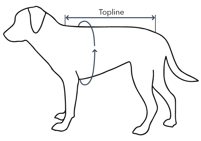 Ruff and Tumble Cool Coat - Size XS measuring guide
