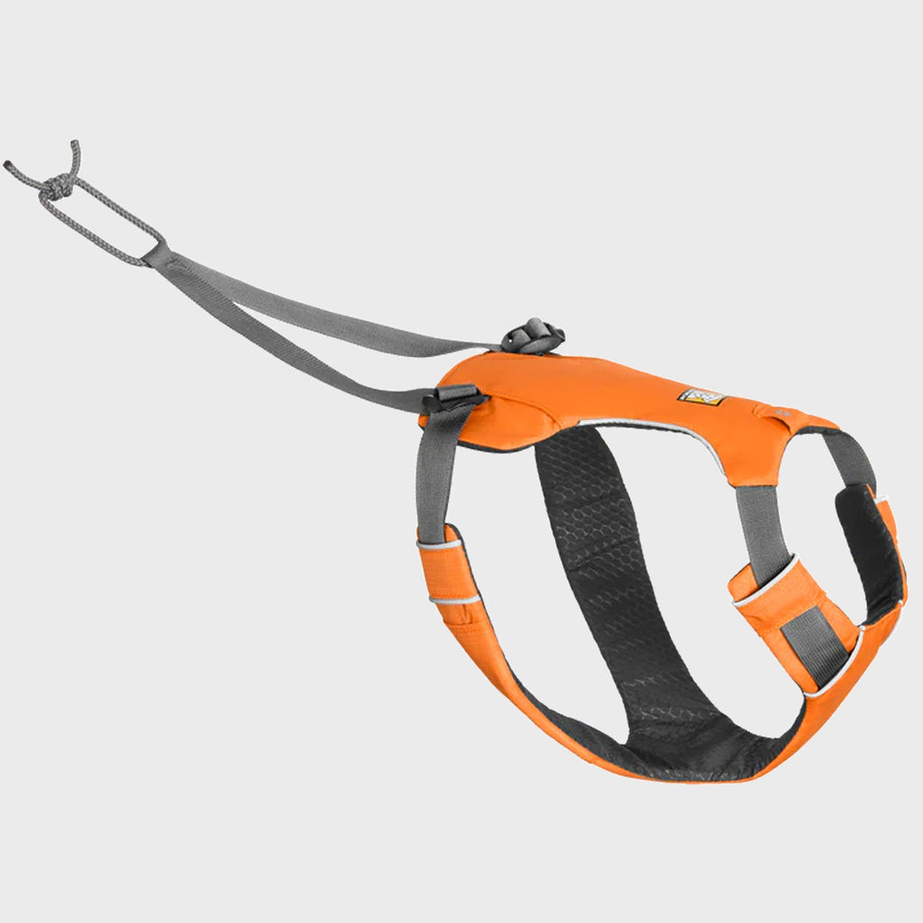 Omnijore‚Ñ¢ Dog Joring System - Slickers ‚óä Doghouse