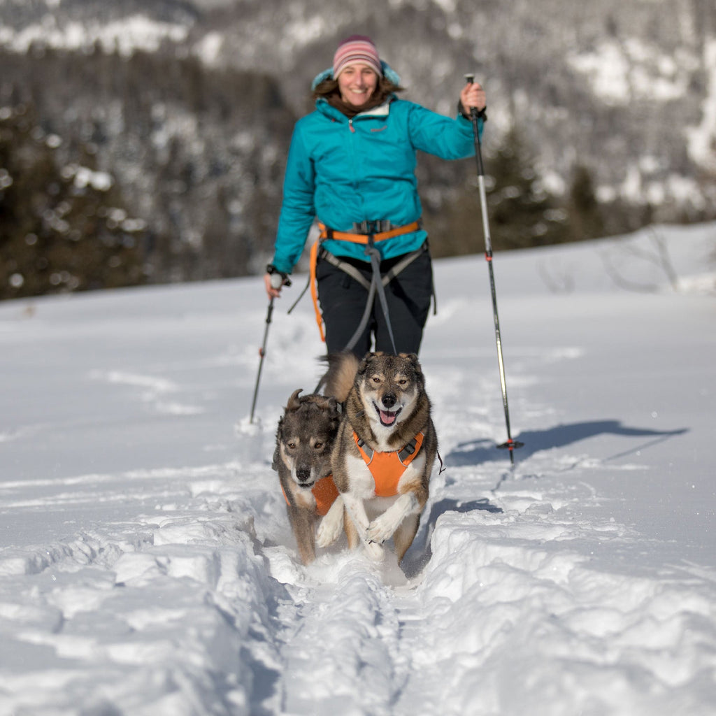 Omnijore‚Ñ¢ Dog Joring System - Slickers ‚óä Doghouse