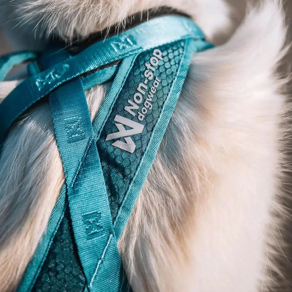 Rush Harness, Teal - Slickers ◊ Doghouse