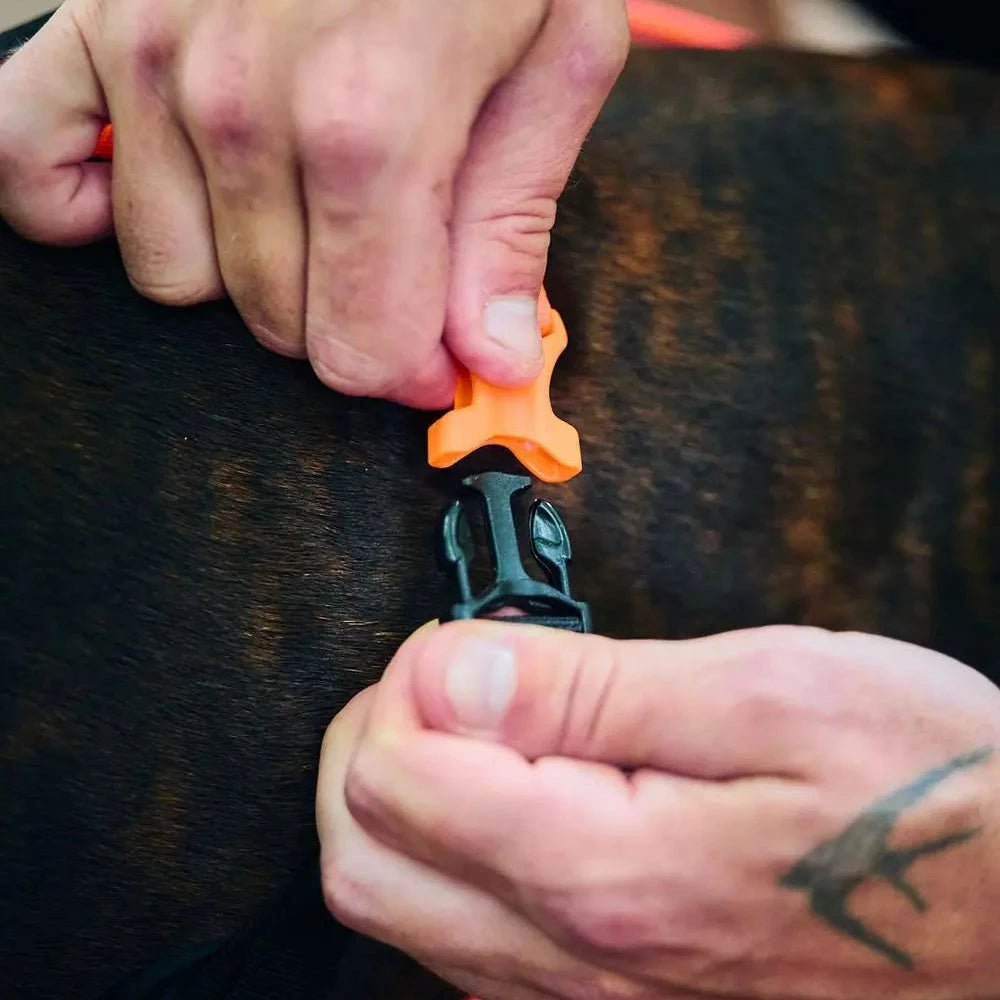 Rush Harness, Teal - Slickers ◊ Doghouse