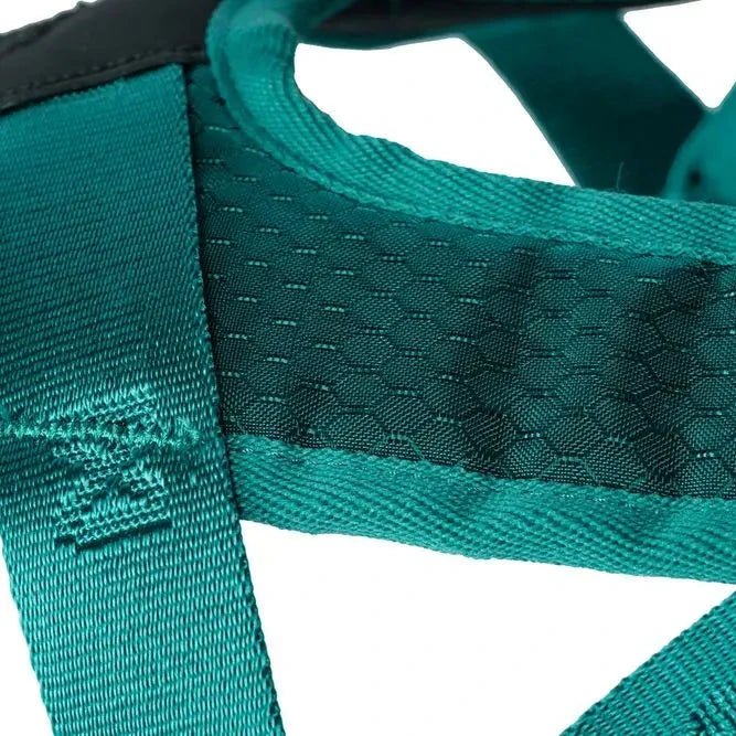 Rush Harness, Teal - Slickers ◊ Doghouse
