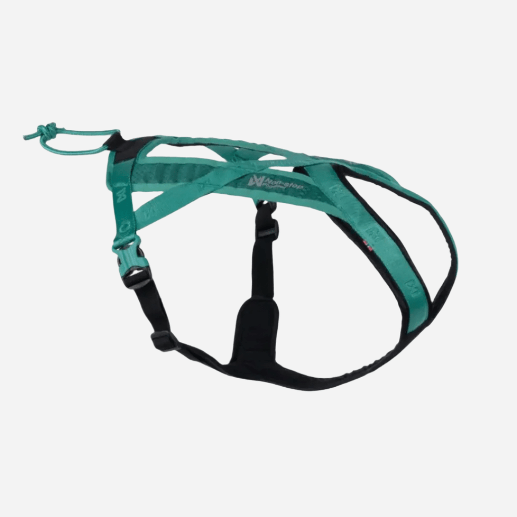 Rush Harness, Teal - Slickers ◊ Doghouse