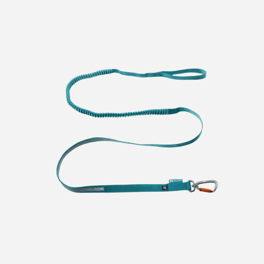 Rush Touring Bungee Leash, Teal Green - Slickers ◊ Doghouse