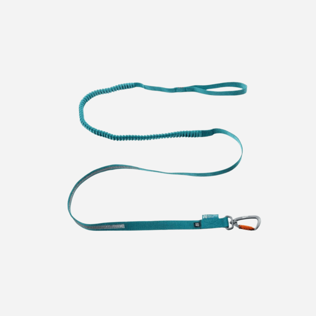 Rush Touring Bungee Leash, Teal Green | Dog Shop – Slickers Doghouse