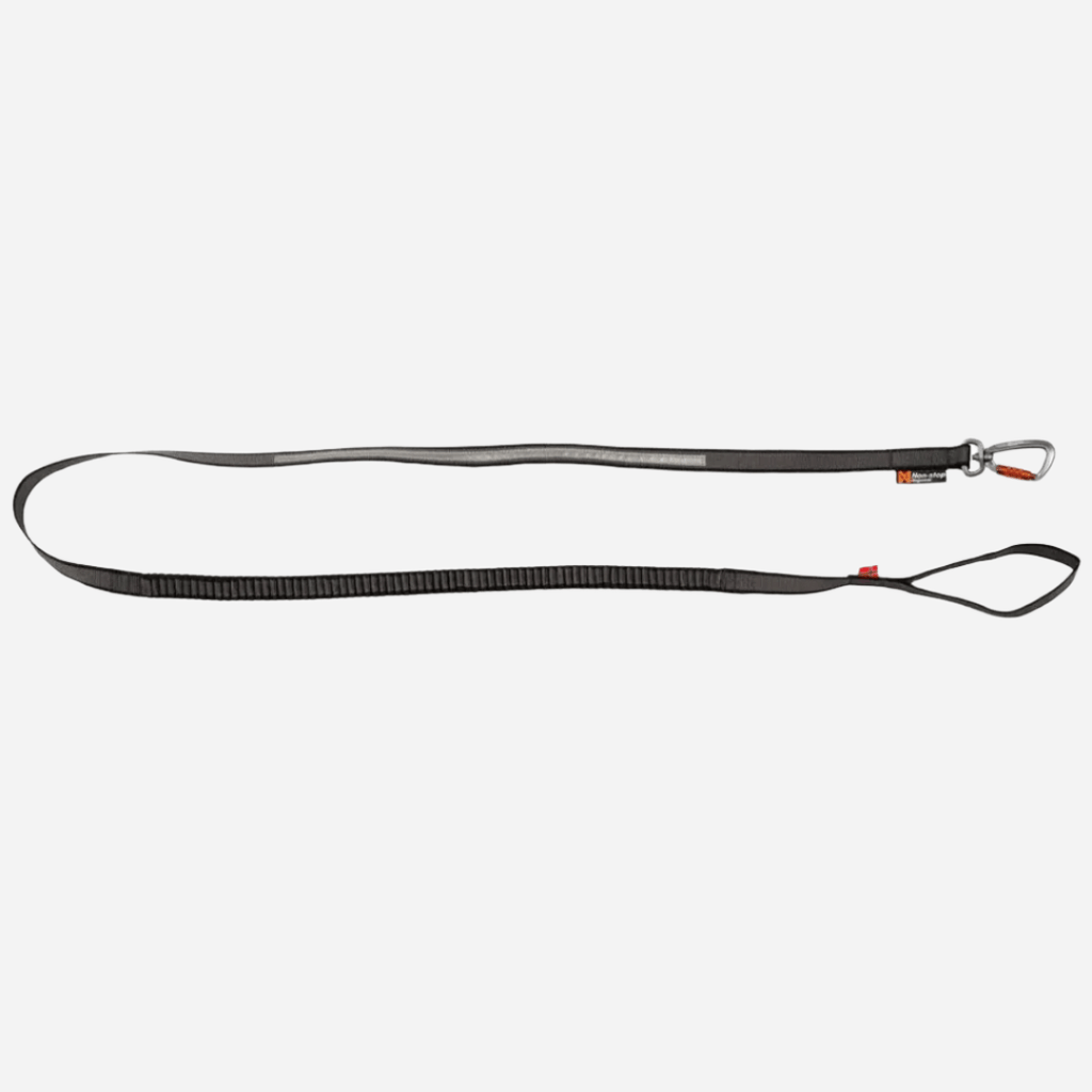 Rush Touring Bungee Leash, Teal Green - Slickers ◊ Doghouse