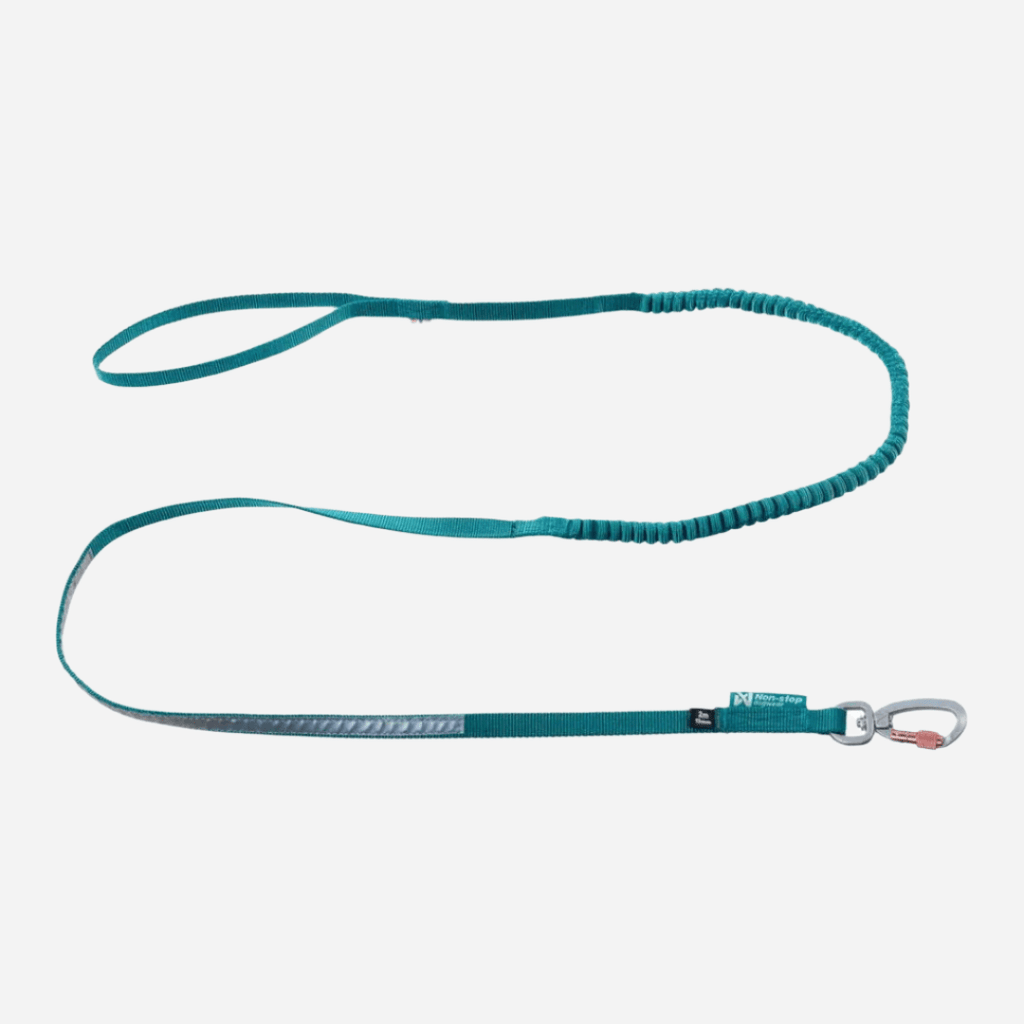 Rush Touring Bungee Leash, Teal Green - Slickers ◊ Doghouse
