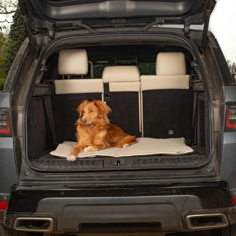 Savanna Travel Mat - Stone - Slickers ◊ Doghouse