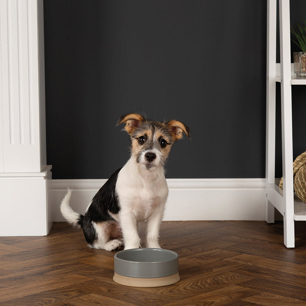 Scandi Non Tip Pet Food & Water Bowl - Slickers ◊ Doghouse