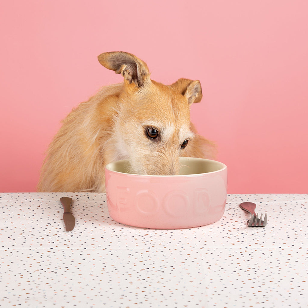 Scruffs Dog Bowl Ceramic Classic Dog Food Bowl