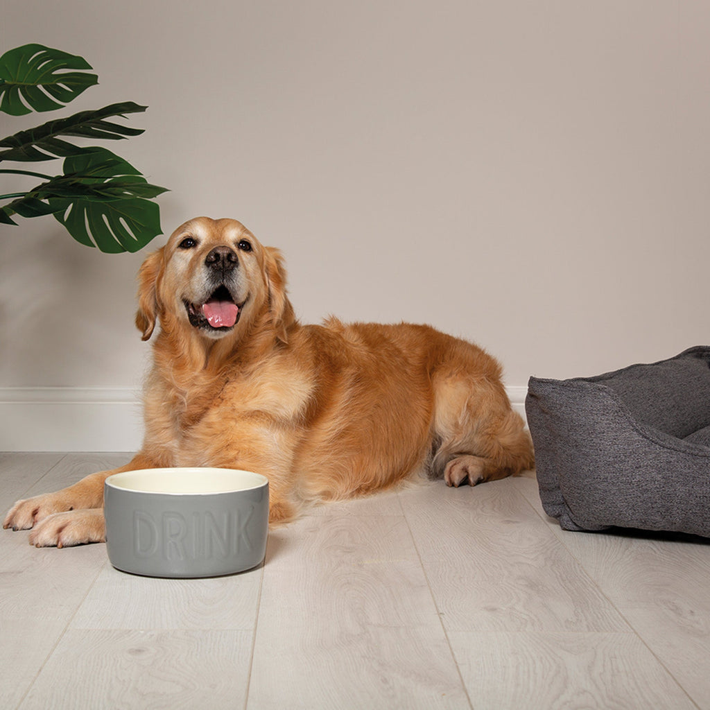 Scruffs Dog Bowl Ceramic Classic Dog Water Bowl