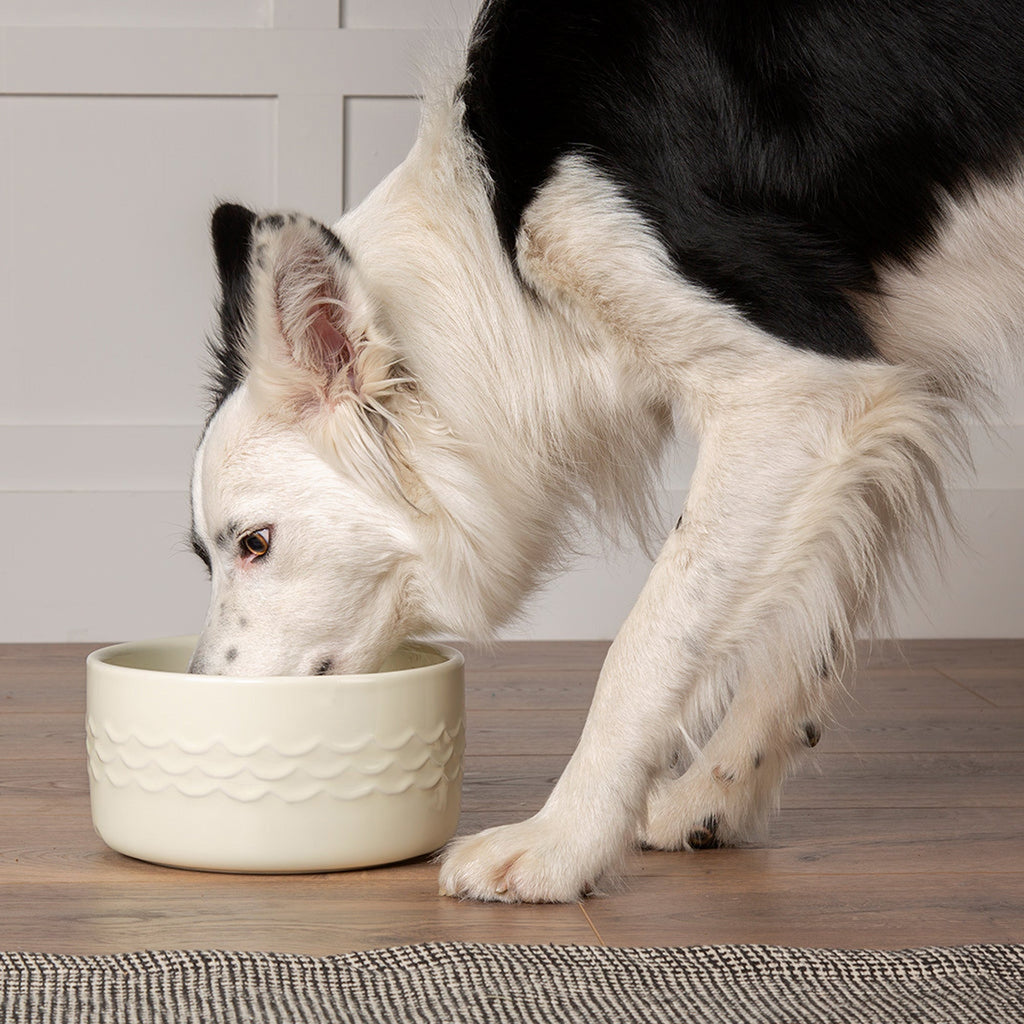 Scruffs Dog Bowl Ceramic Icon Dog Water Bowl