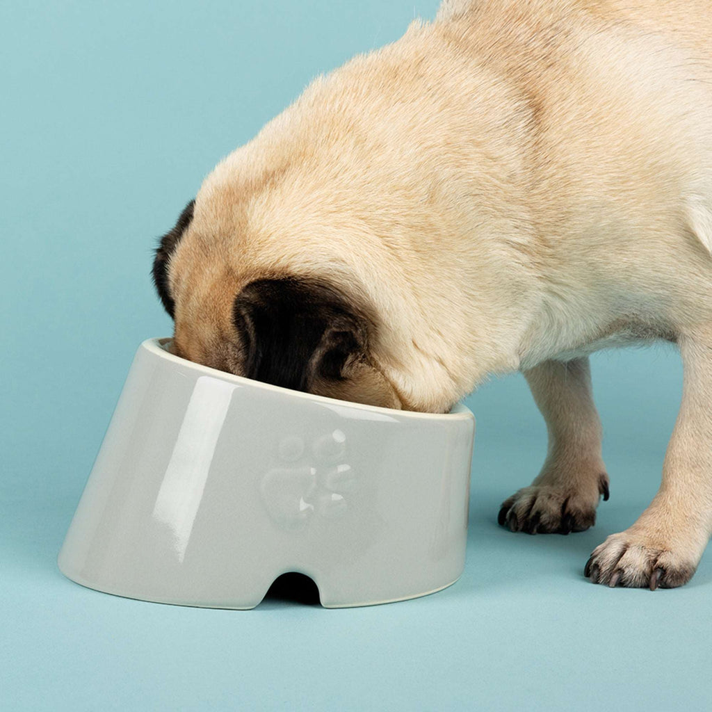 Ceramic Icon Flat Faced Dog Bowl - Slickers ‚óä Doghouse