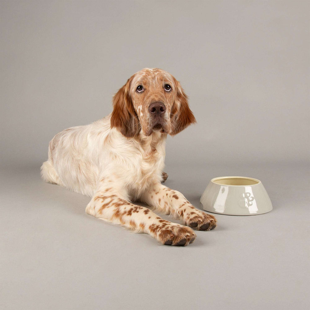 Ceramic Icon Long Eared Dog Food & Water Bowl - Slickers ‚óä Doghouse