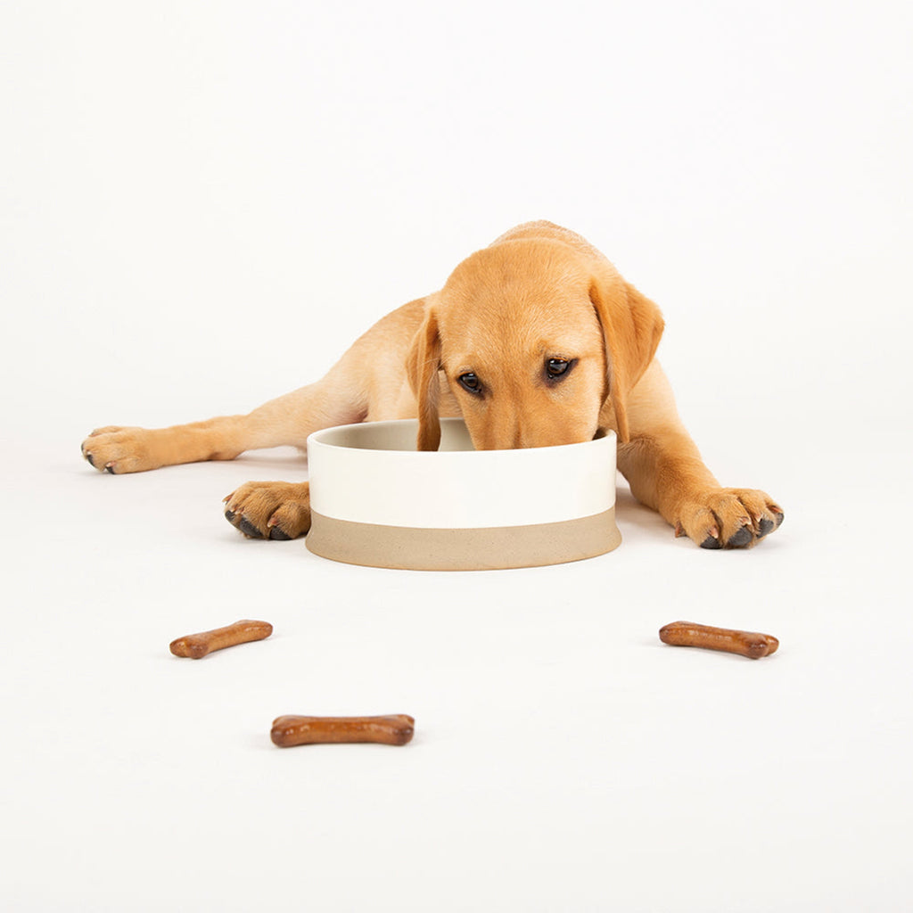 Scandi Non Tip Pet Food & Water Bowl - Slickers ‚óä Doghouse