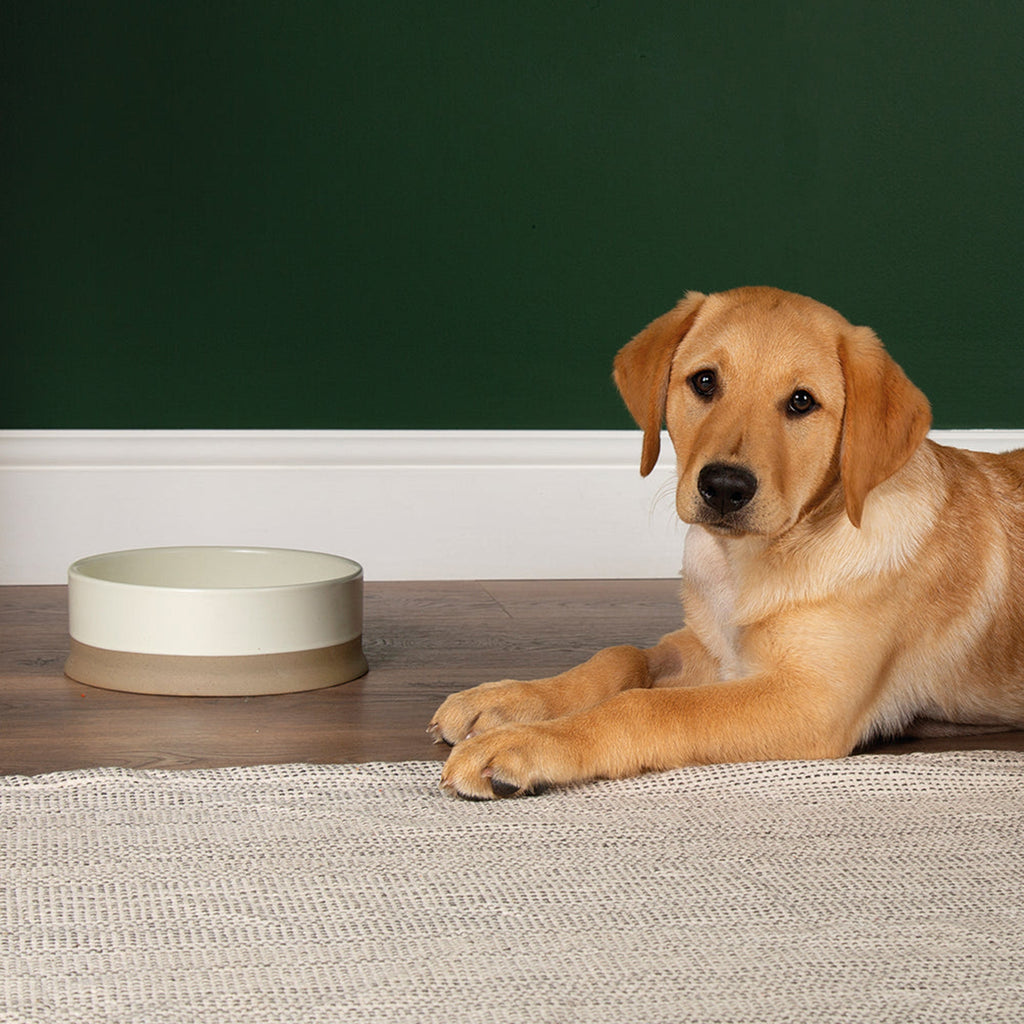Scandi Non Tip Pet Food & Water Bowl - Slickers ‚óä Doghouse
