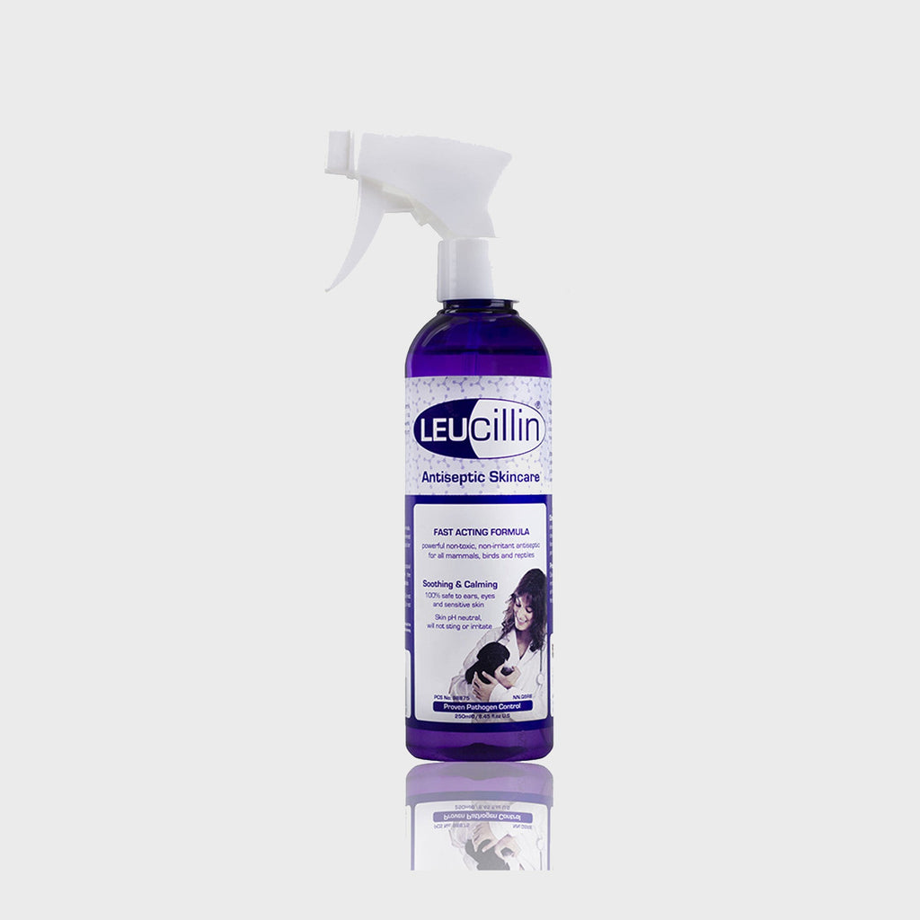 Leucillin antiseptic for cats and dogs - Slickers ‚óä Doghouse