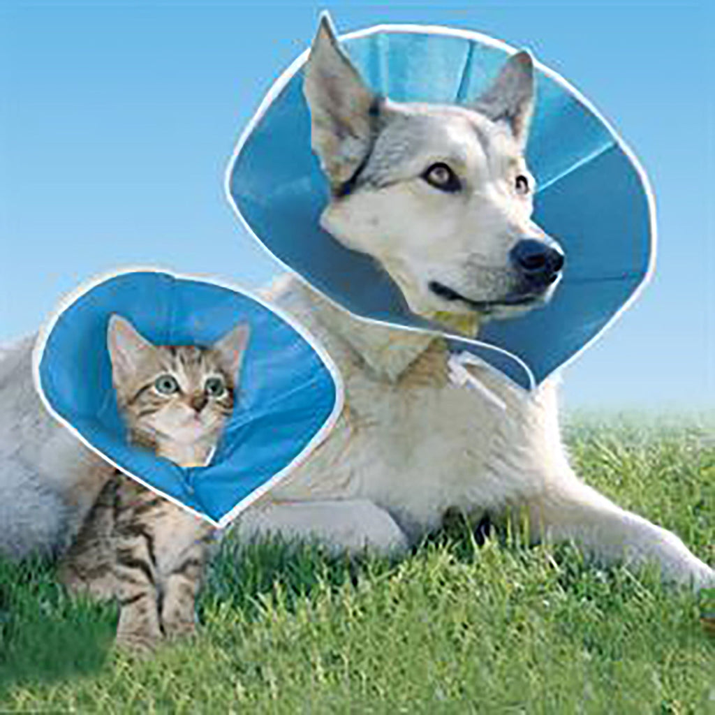 Trimline Recovery Collar - Slickers ‚óä Doghouse