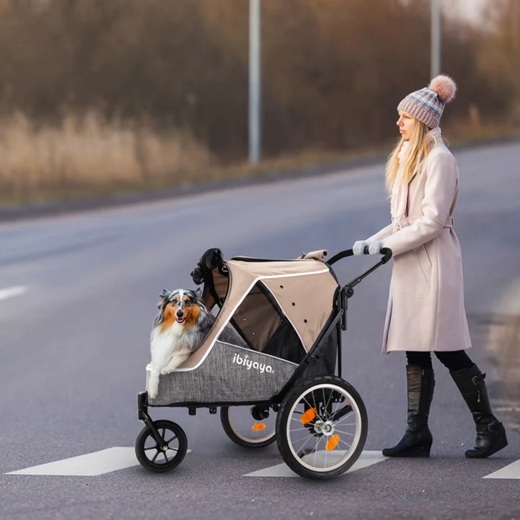 Slickers ◊ Doghouse InnoPet® Sporty Evolution Stroller Hire