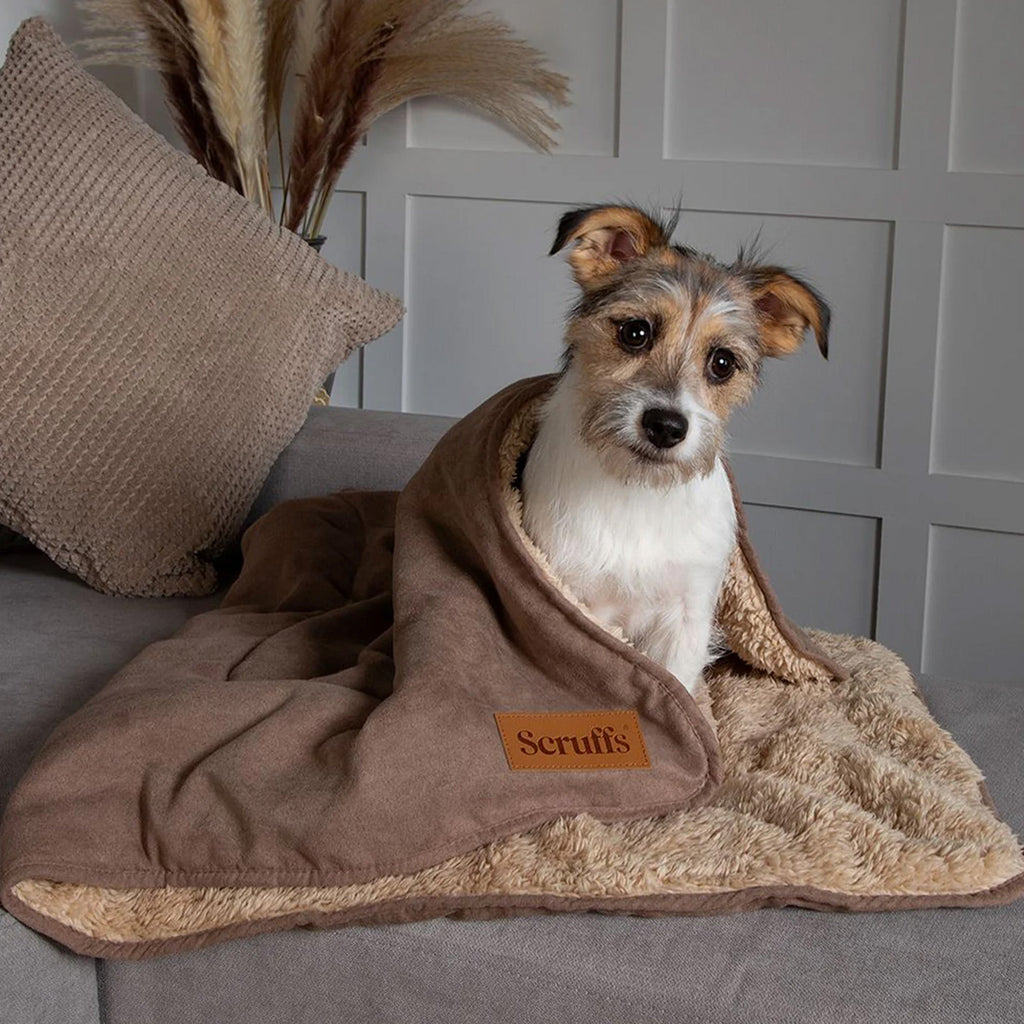 Snuggle Blanket - Slickers ◊ Doghouse