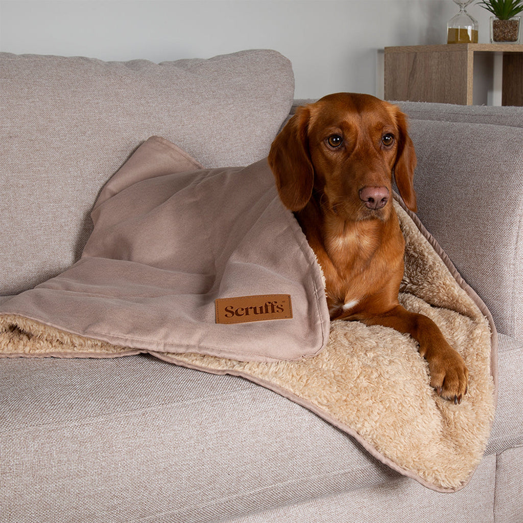 Snuggle Blanket - Slickers ◊ Doghouse