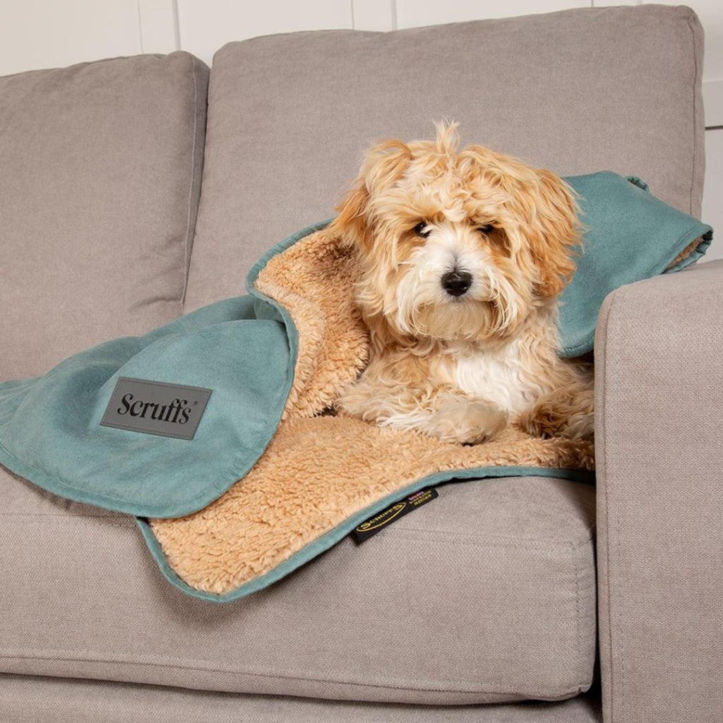 Snuggle Blanket - Slickers ◊ Doghouse