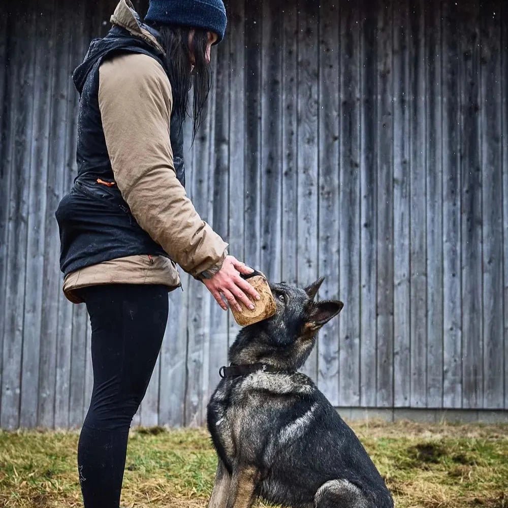 Solid Adjustable collar WD - Slickers ◊ Doghouse