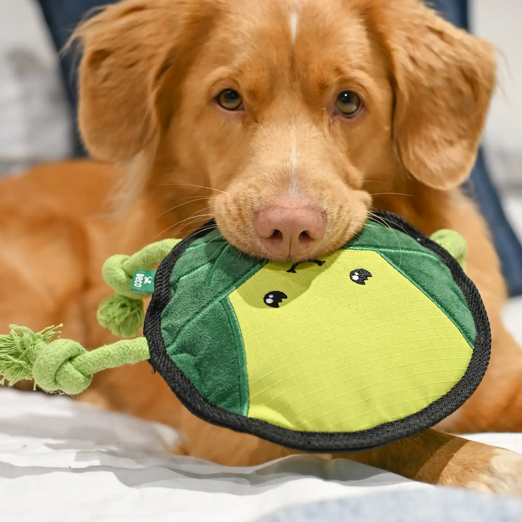 Plush Sprout Dog Toy - Slickers ◊ Doghouse