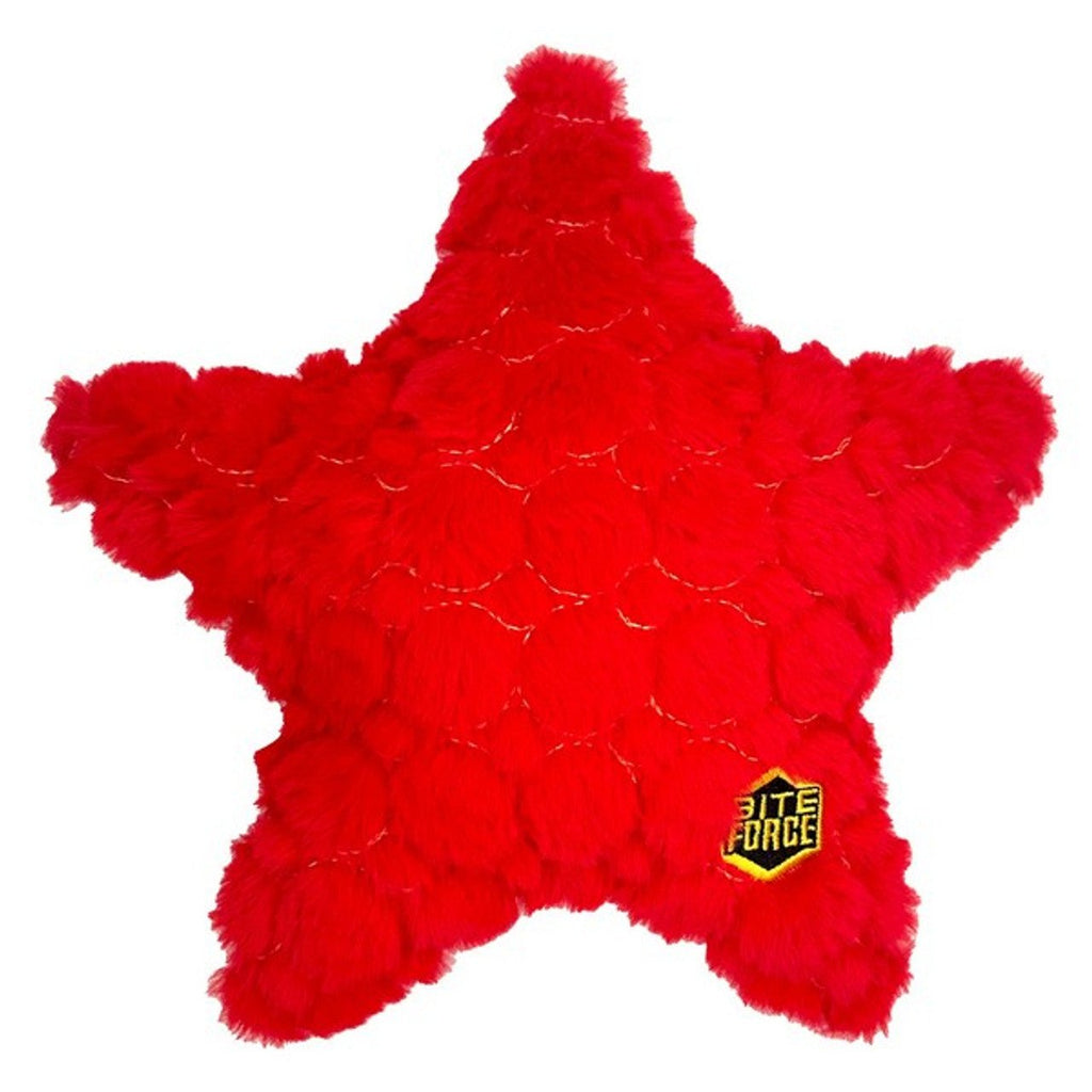 Starfish - Bite Force Kevlar Tough Plush Toy - Slickers ◊ Doghouse
