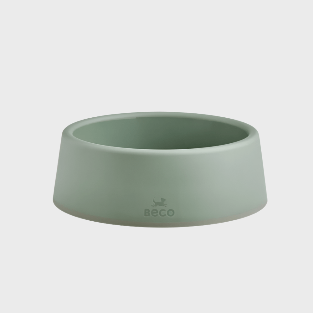Steady Dog Bowl - Slickers ◊ Doghouse