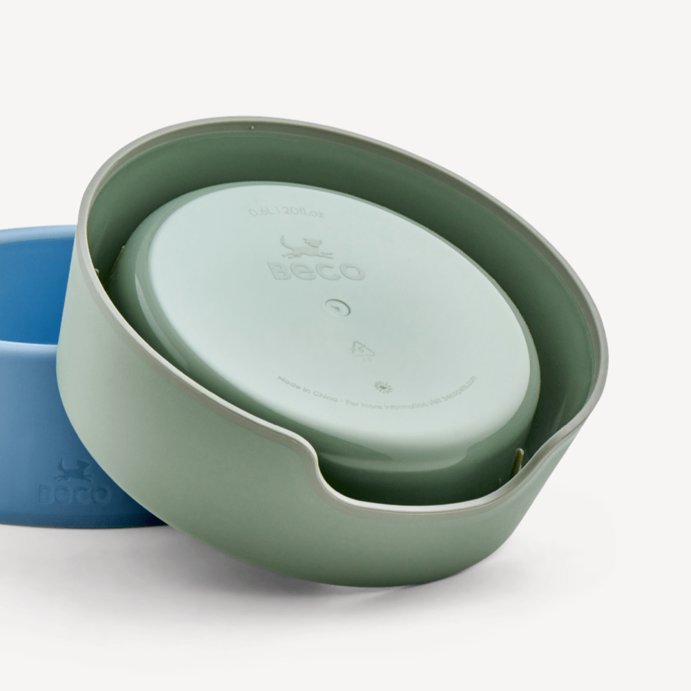 Steady Dog Bowl - Slickers ◊ Doghouse