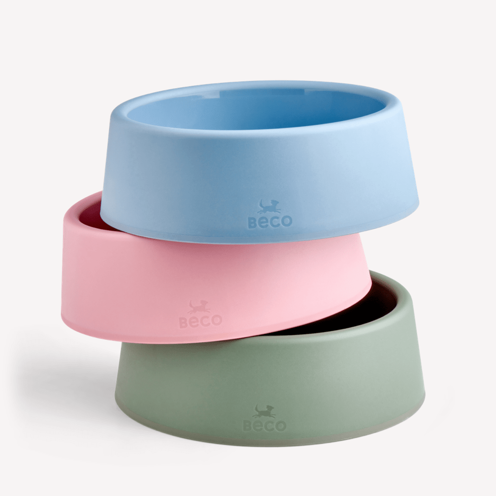 Steady Dog Bowl - Slickers ◊ Doghouse