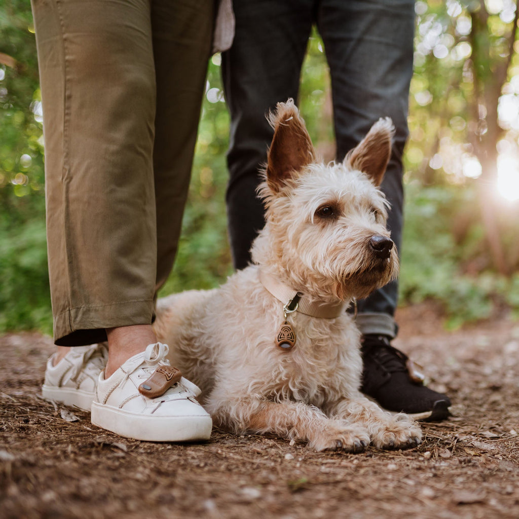 TICKLESS¬Æ ECOPet - Slickers ‚óä Doghouse