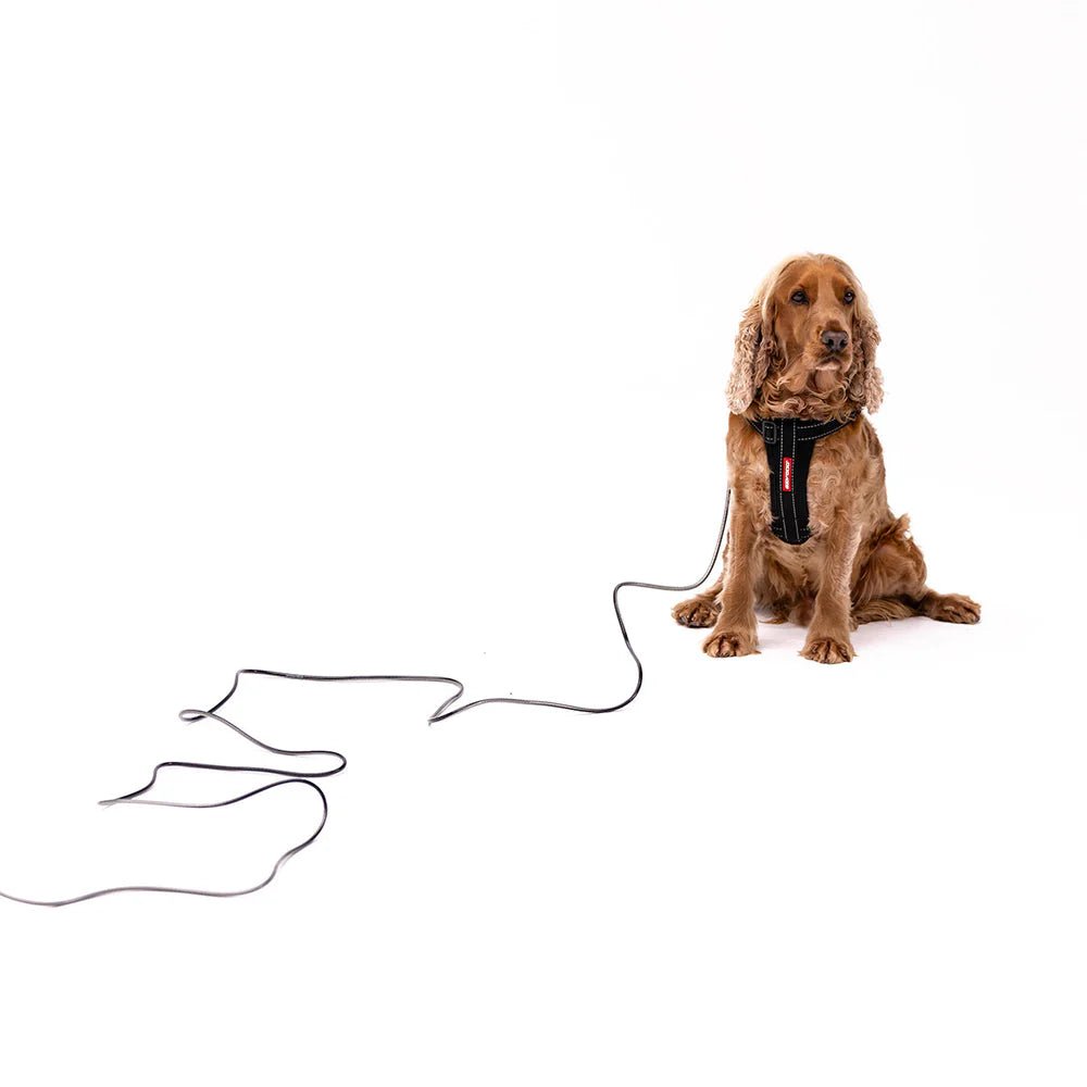 Track n Train Slimline Dog Lead - Slickers ◊ Doghouse