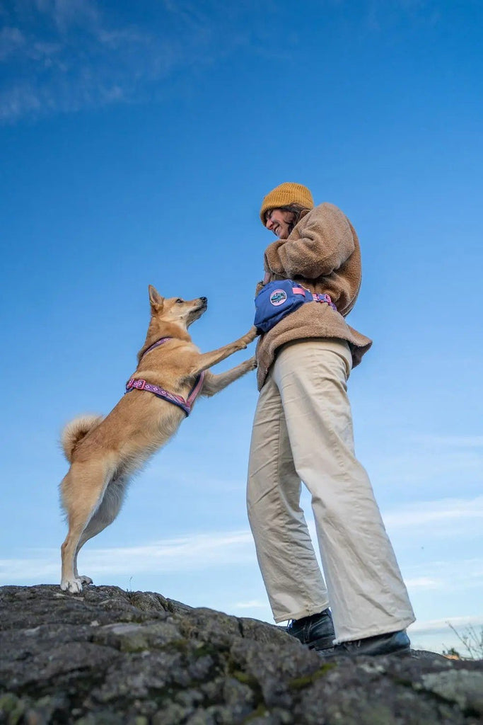 Trail Quest Fanny Pack Rachel Pohl - Slickers ◊ Doghouse