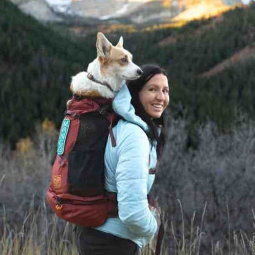 K9 Sport Sack Knavigate - Slickers ‚óä Doghouse