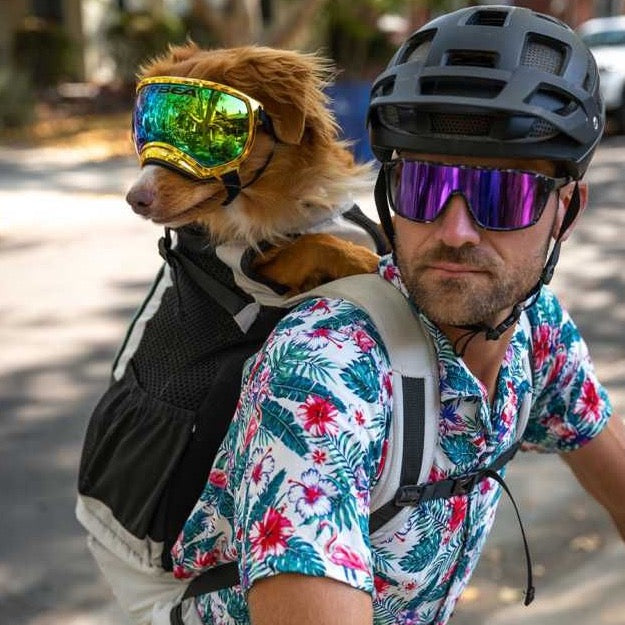 K9 Sport Sack Knavigate - Slickers ‚óä Doghouse