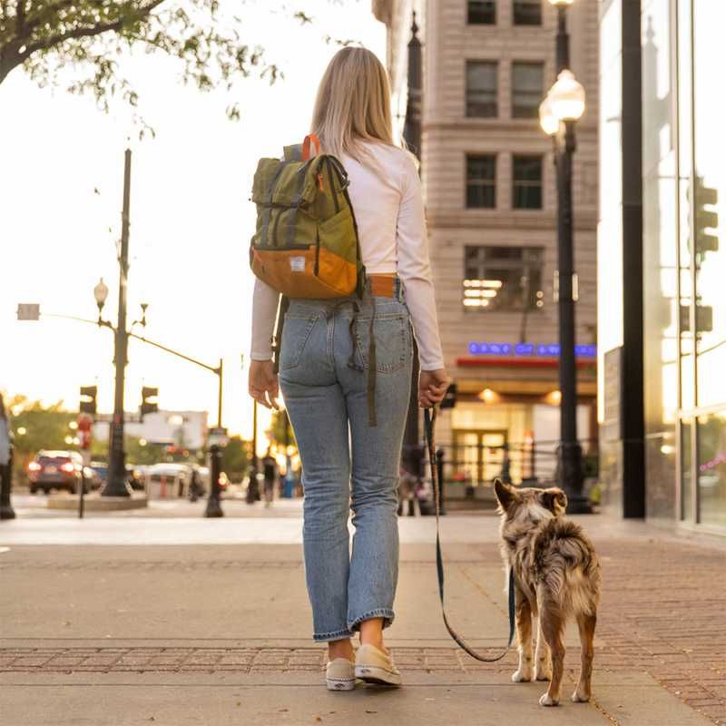 K9 Sport Sack Urban 3 - Slickers ‚óä Doghouse