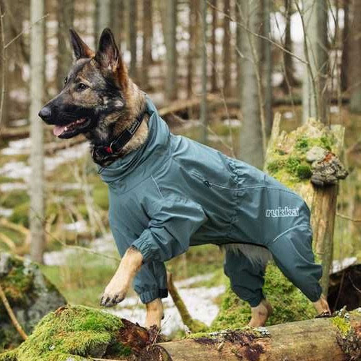 Protect Overall Agave - Slickers ‚óä Doghouse