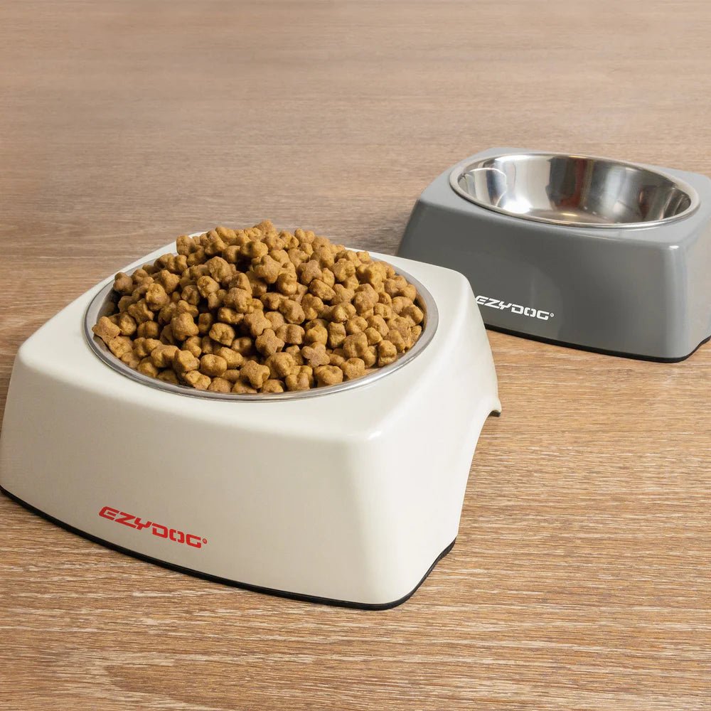 Uno Dog Bowl - Slickers ◊ Doghouse