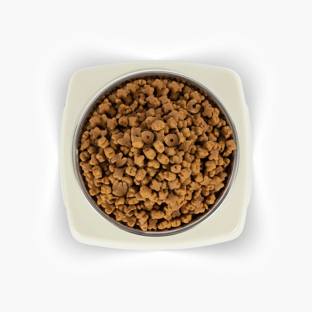 Uno Dog Bowl - Slickers ◊ Doghouse