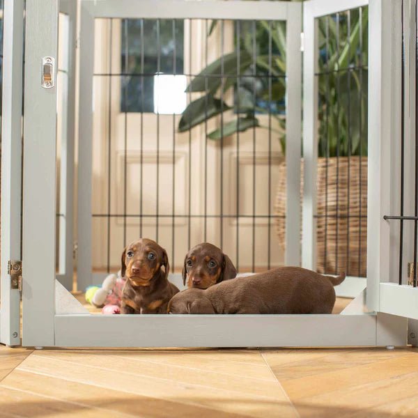Wooden Puppy Play Pen in White and Grey - Slickers ◊ Doghouse