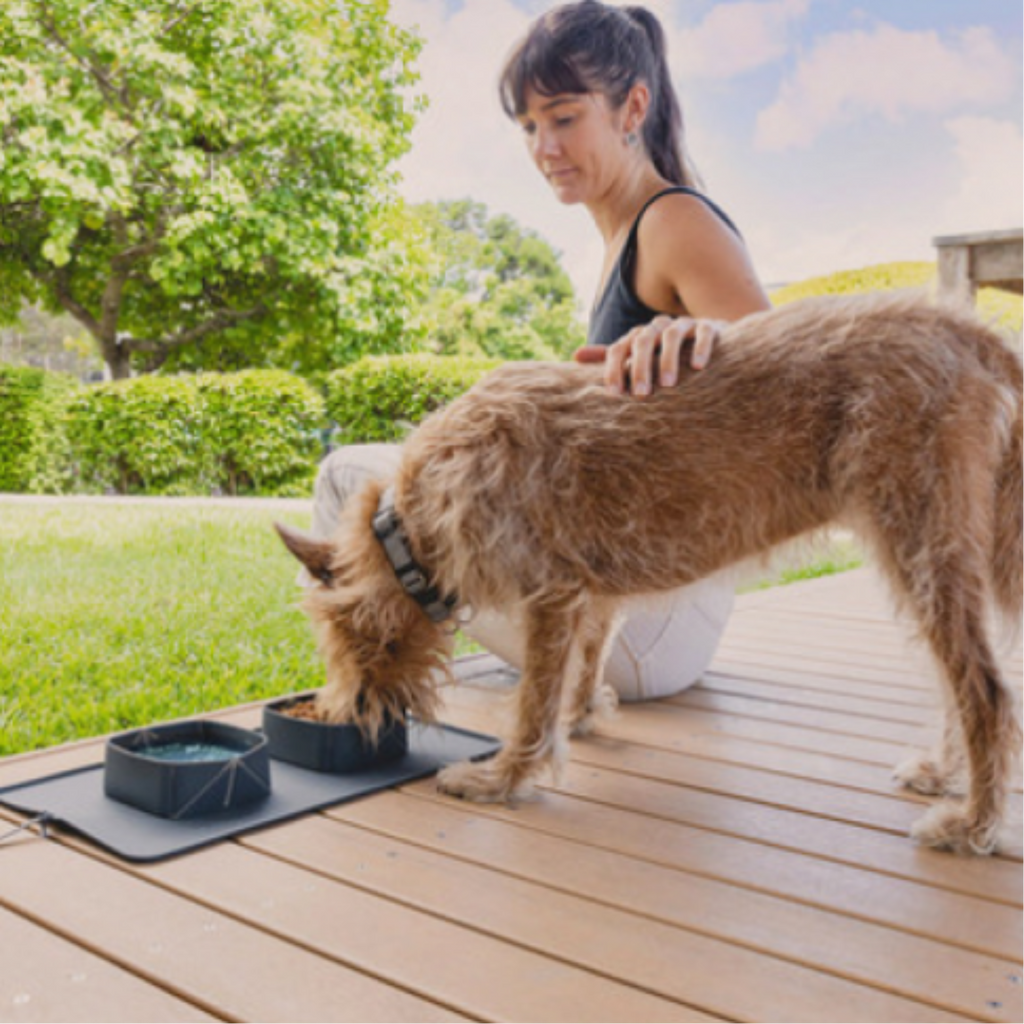 EzyDog Travel Bowl ROLL A BOWL - CHARCOAL