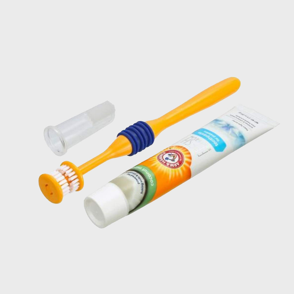 Arm & Hammer Fresh Coconut Dental Kit for Puppies - Slickers ◊ Doghouse