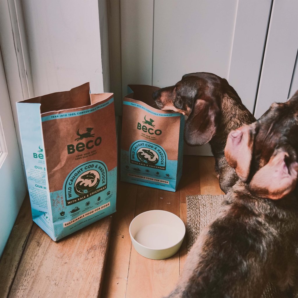 Beco Dry Food Eco Conscious Food for Dogs- MSC Certified Cod and Haddock